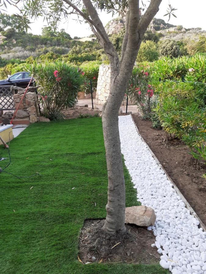 Villetta Rocchi - Costa Paradiso Ngoại thất bức ảnh