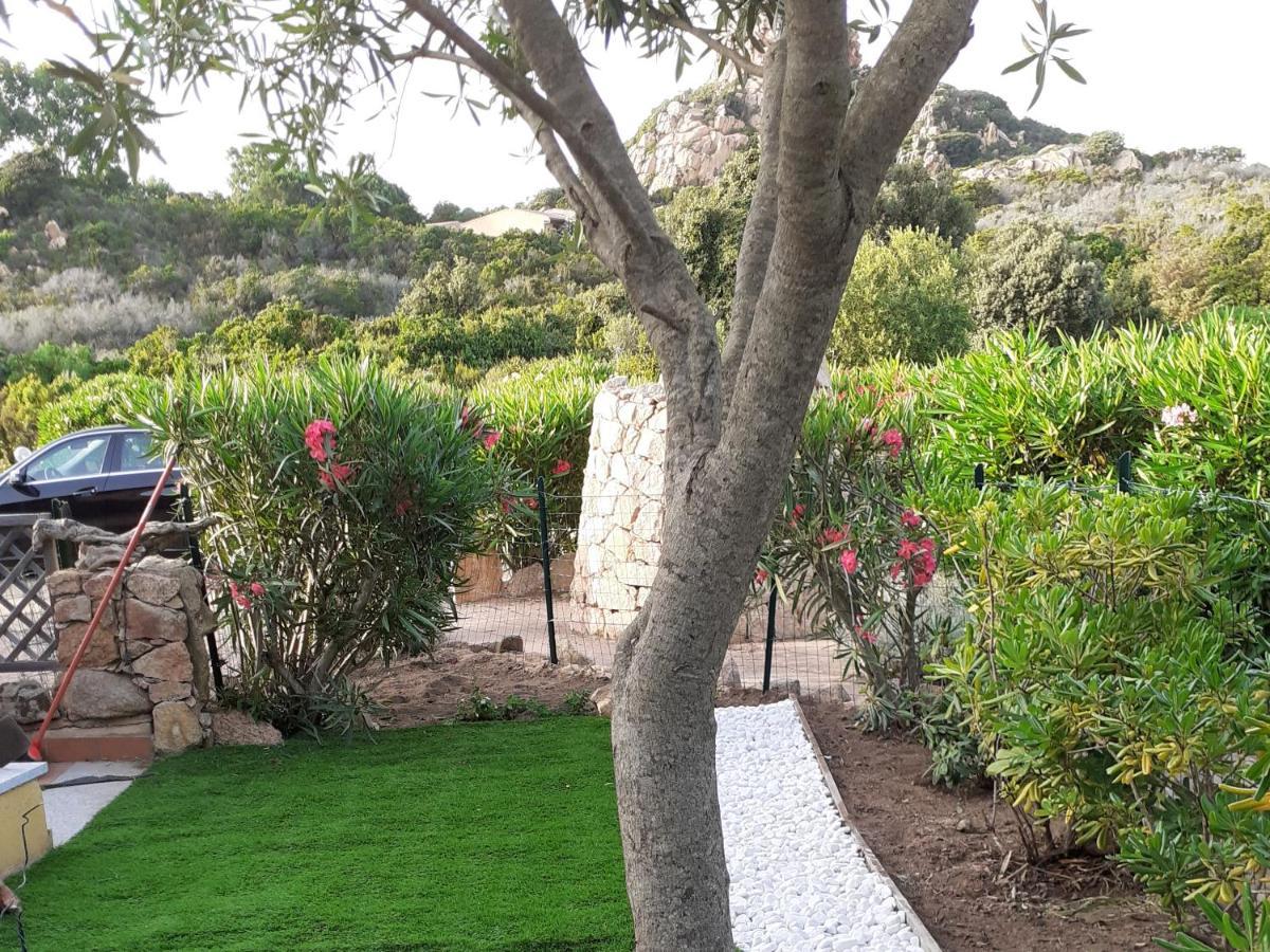 Villetta Rocchi - Costa Paradiso Ngoại thất bức ảnh
